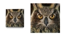 Eyes On Walls Dino Tomic Owl Splatter Museum Mounted Canvas 18" x 18"